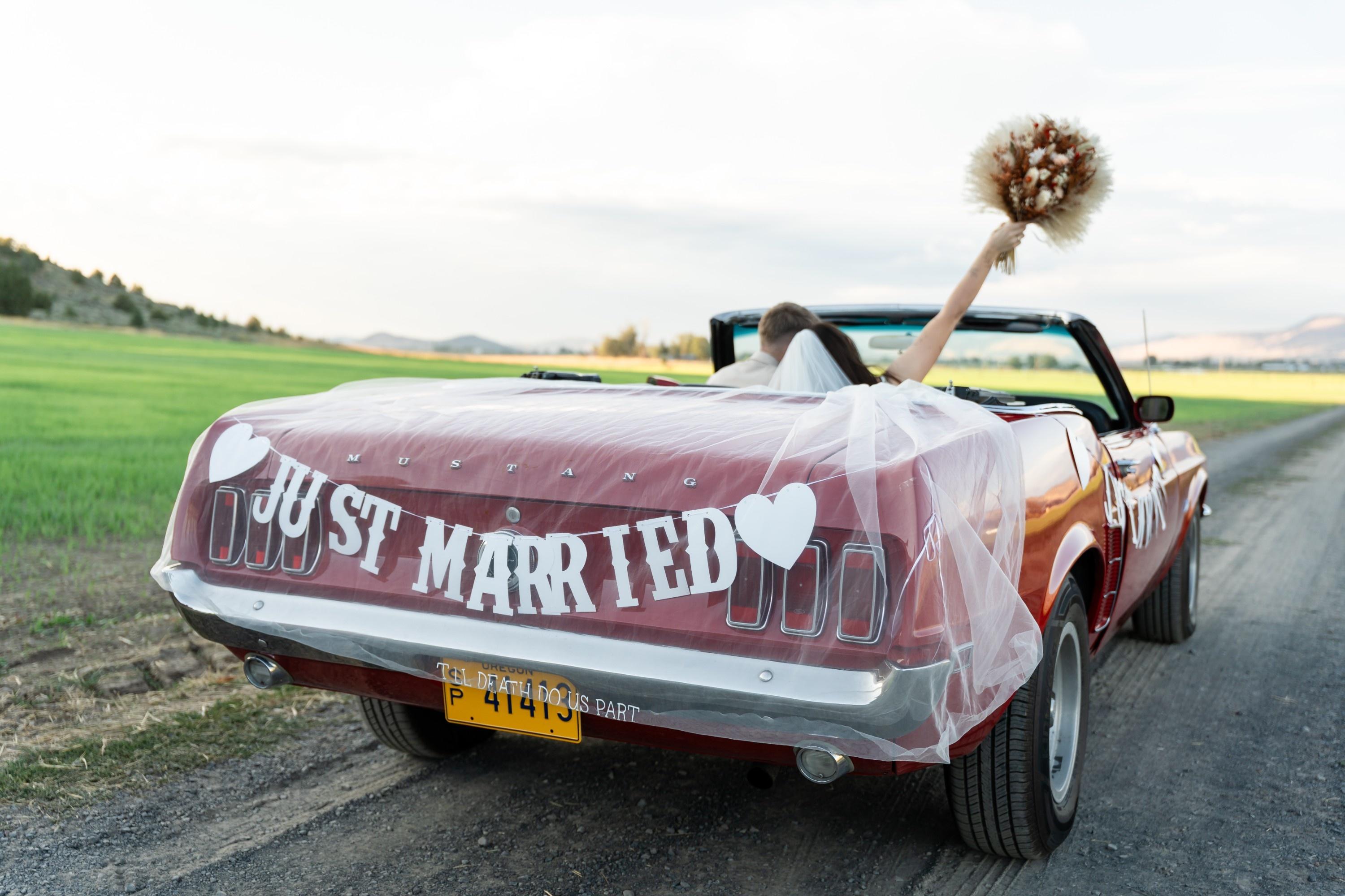 carousel-hero-element image-0