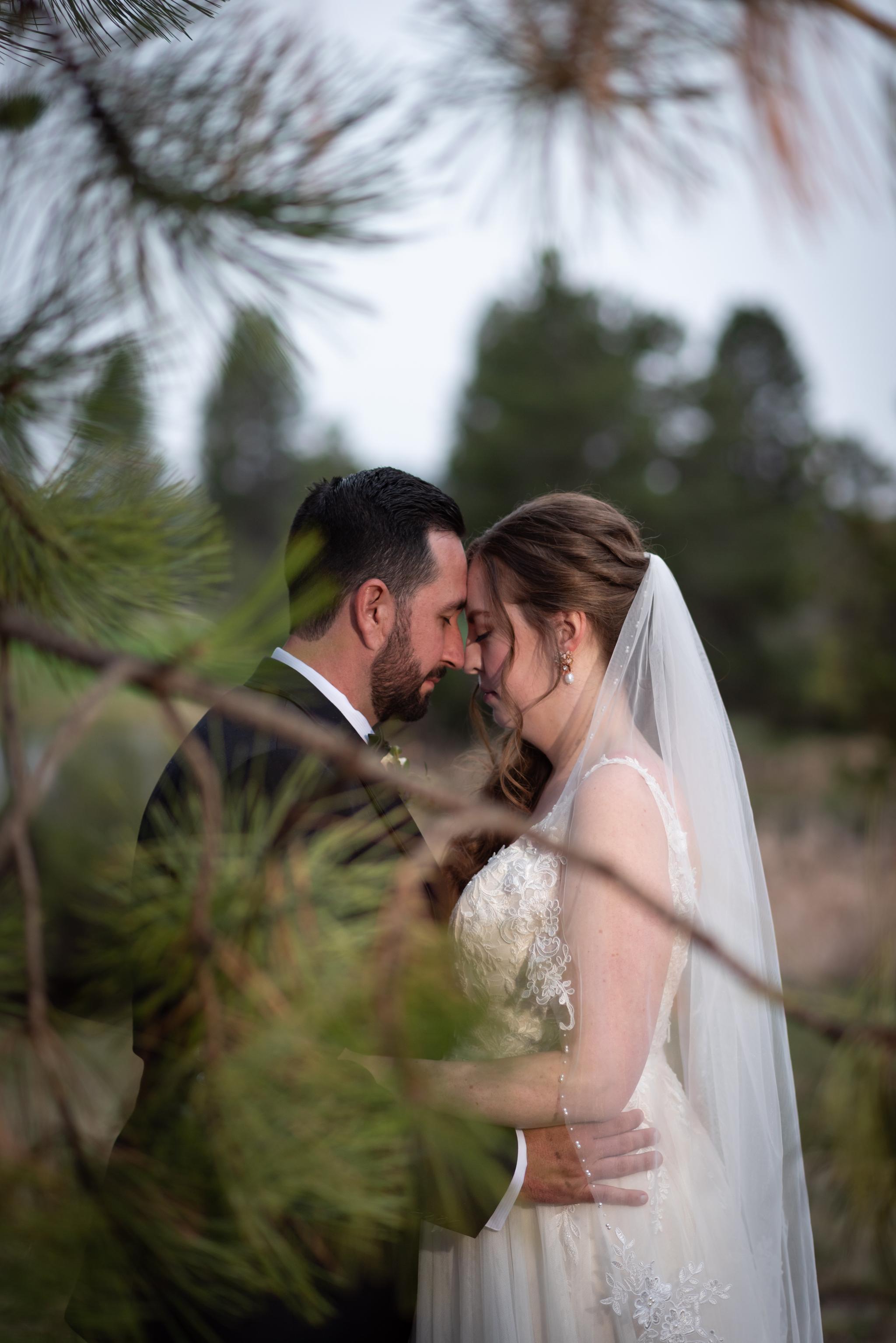 Winter Wedding Venues