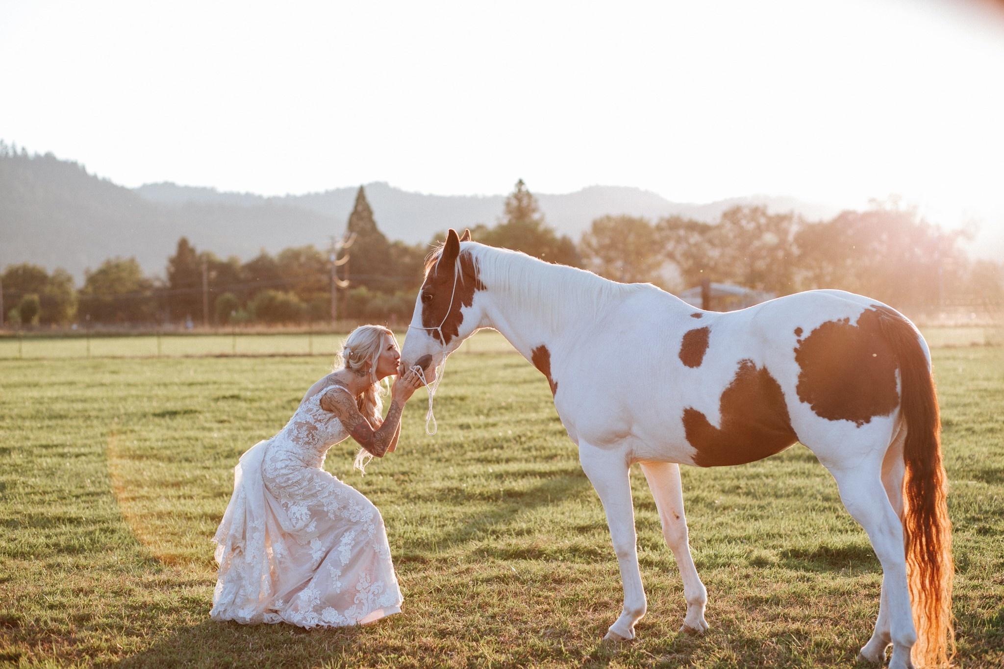 carousel-hero-element image-1