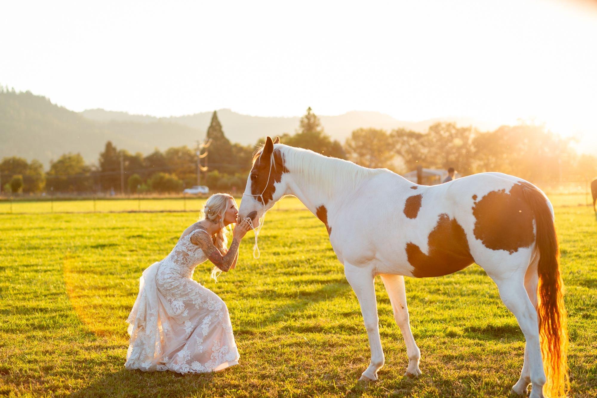 carousel-hero-element image-0