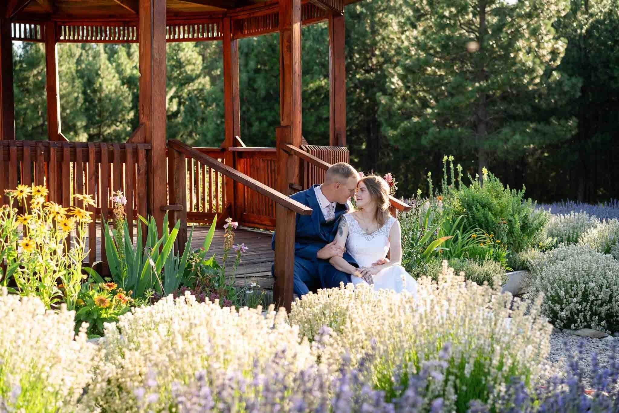 carousel-hero-element image-3