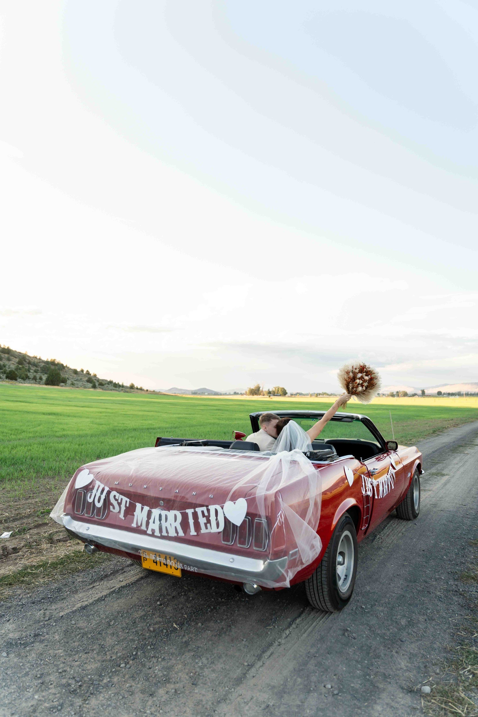 carousel-hero-element image-0